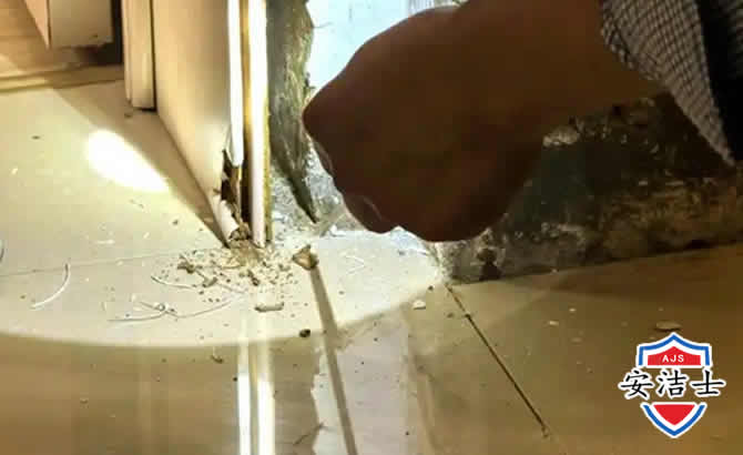 东阳房屋建筑防治白蚁