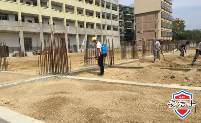 东阳学校机关防治白蚁