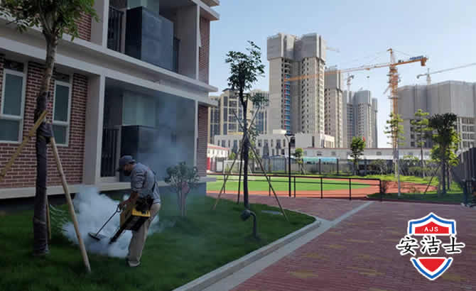 东阳工厂工地除白蚁