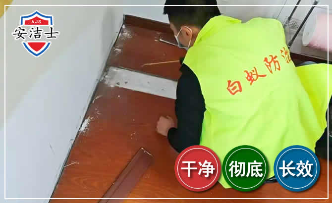 东阳除四害现场