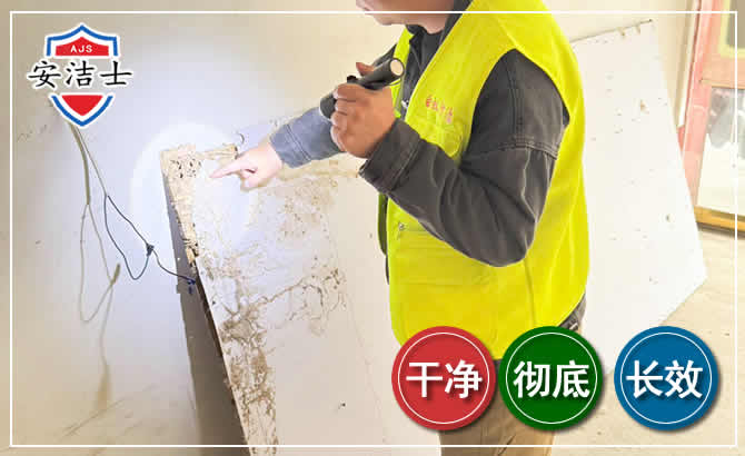 东阳除白蚁现场