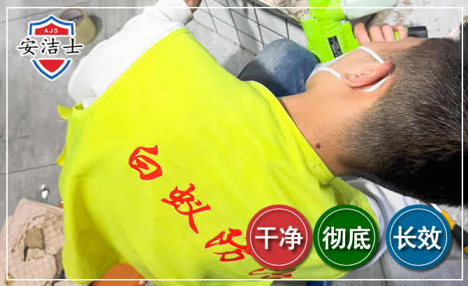 东阳白蚁根治现场